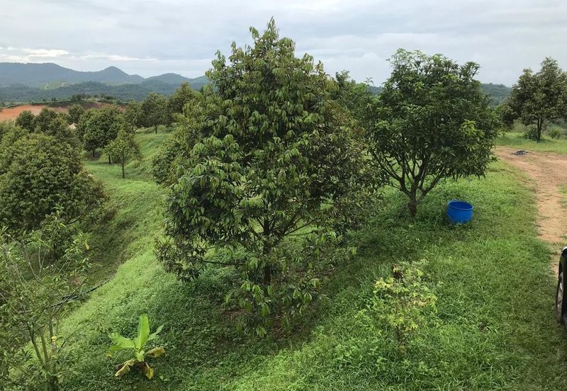 Kerling Industrial Land