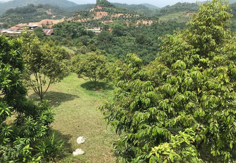 Kerling Industrial Land