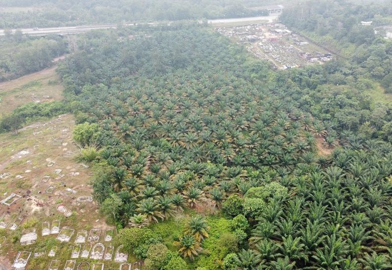 Kerling Industrial Land