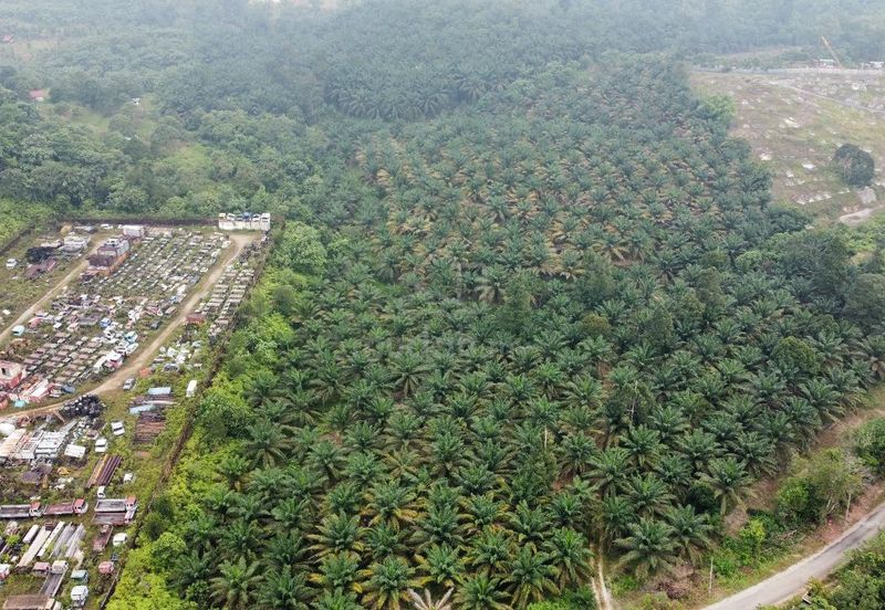 Kerling Industrial Land