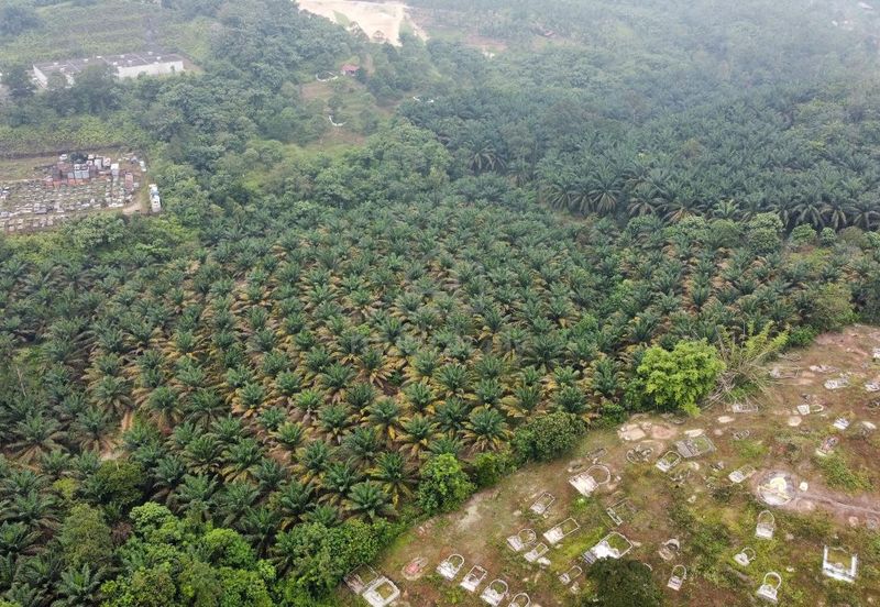 Kerling Industrial Land