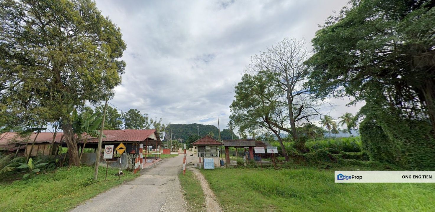 Frehold Ladang Kelapa Sawit 995 Ekar Freehold Chemor, Ipoh, Perak, Perak, Kinta