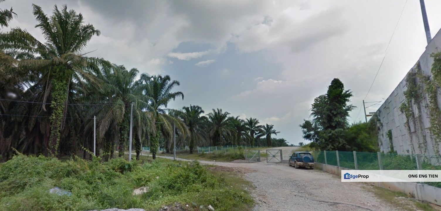 Frehold Ladang Kelapa Sawit 995 Ekar Freehold Chemor, Ipoh, Perak, Perak, Kinta