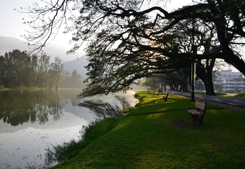 Agriculture Land @ Taiping