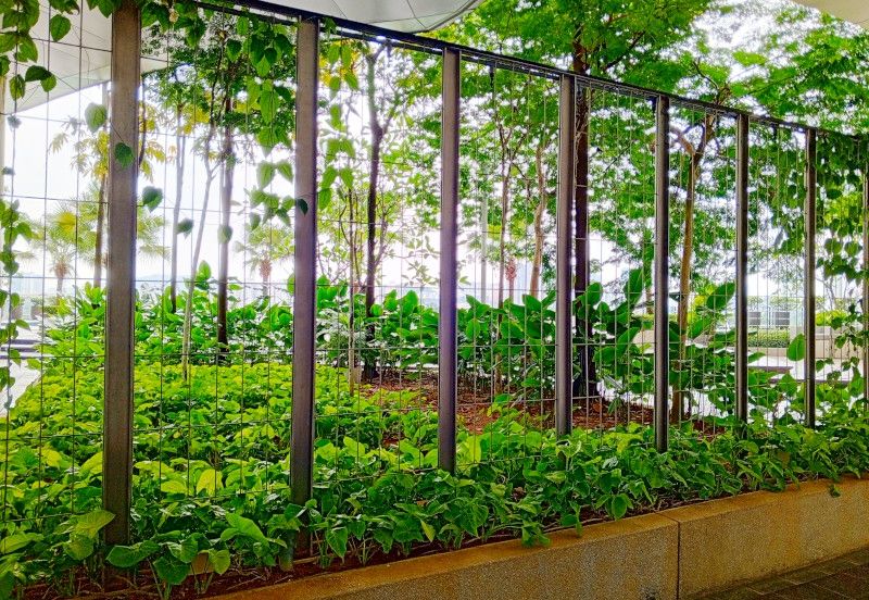 Desa Green Serviced Apartments