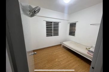 Penaga @ Taman Raintree