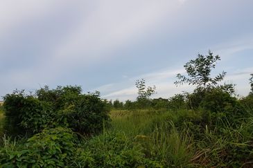 Residential Land With Development Order