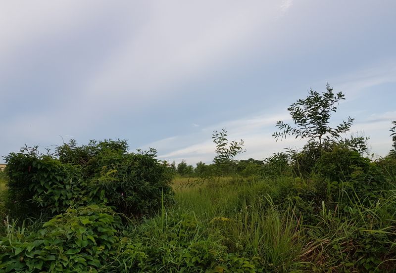 Residential Land With Development Order