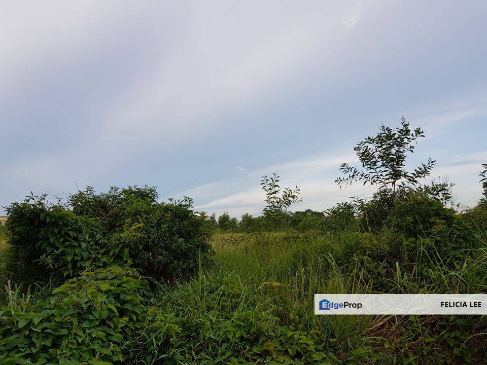 Residential Land With Development Order, Kedah, Kubang Pasu