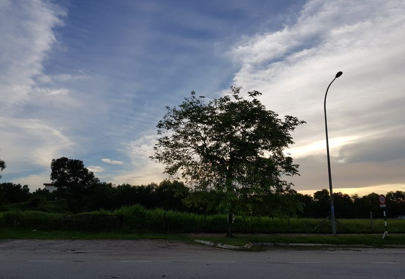 Agriculture Land Zoning Industry For Sale