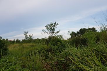 Prime Commercial Land For Sale