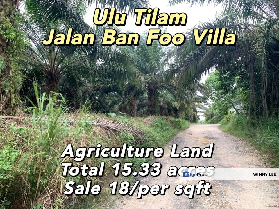 Ulu Tiram, Jalan Ban Foo Villa Agriculture Land for Sale RM18 By WINNY