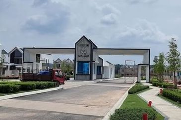 Hazelton @ Eco Forest 3