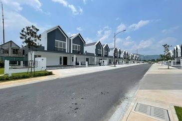 Hazelton @ Eco Forest 3