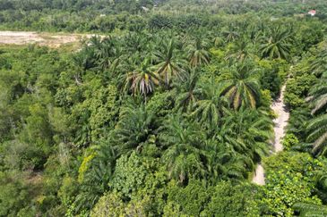 Commercial Land Bukit Damar Selangor