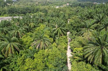 Commercial Land Bukit Damar Selangor