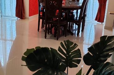 Mozart, Symphony Hills