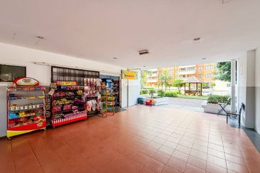 Vista Millennium Condominiums