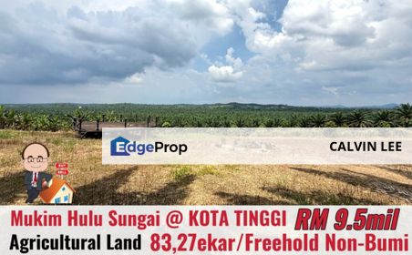 Mukim Hulu Sungai Sedili Besar / Agriculture Land / Kota Tinggi, Johor, Ulu Tiram