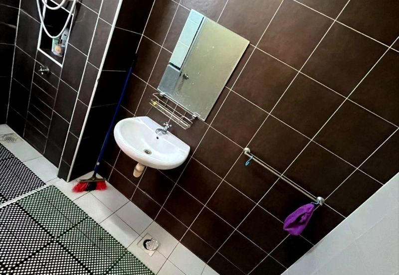 Maple Red, Adda Heights