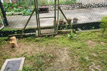 Rafflesia, Pelangi Semenyih 2 for Rent