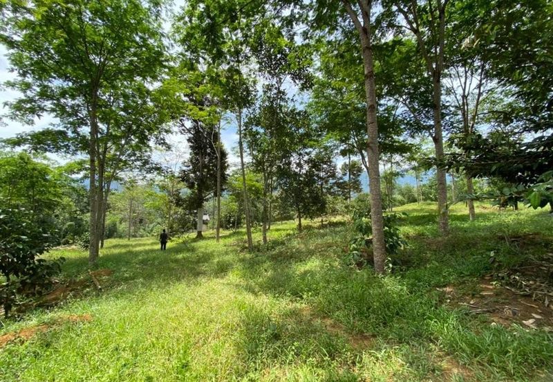 Kawasan Perindustrian Balakong