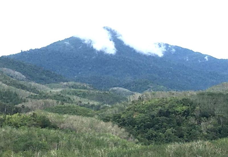 10 Acres FREEHOLD Empty Land, Titi, Jelebu, Negeri Sembilan (N9) for SALE