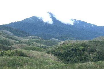 10 Acres FREEHOLD Empty Land, Titi, Jelebu, Negeri Sembilan (N9) for SALE