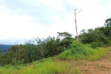 10 Acres FREEHOLD Empty Land, Titi, Jelebu, Negeri Sembilan (N9) for SALE