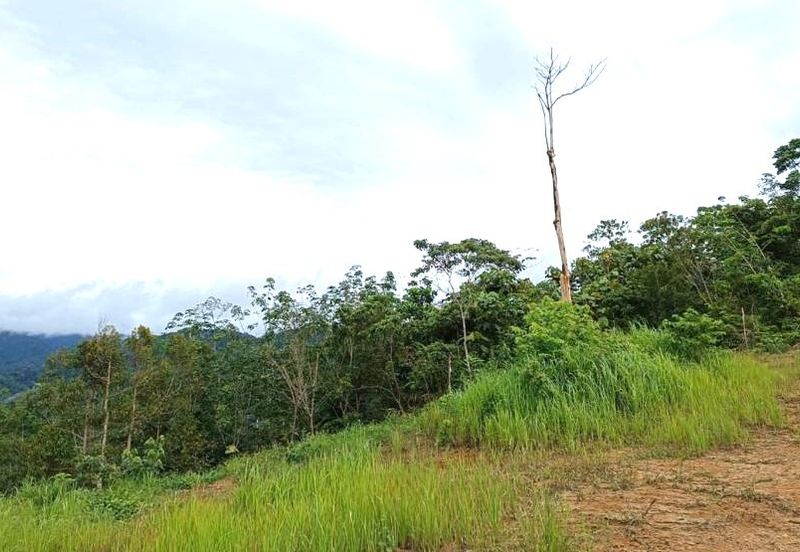 10 Acres FREEHOLD Empty Land, Titi, Jelebu, Negeri Sembilan (N9) for SALE