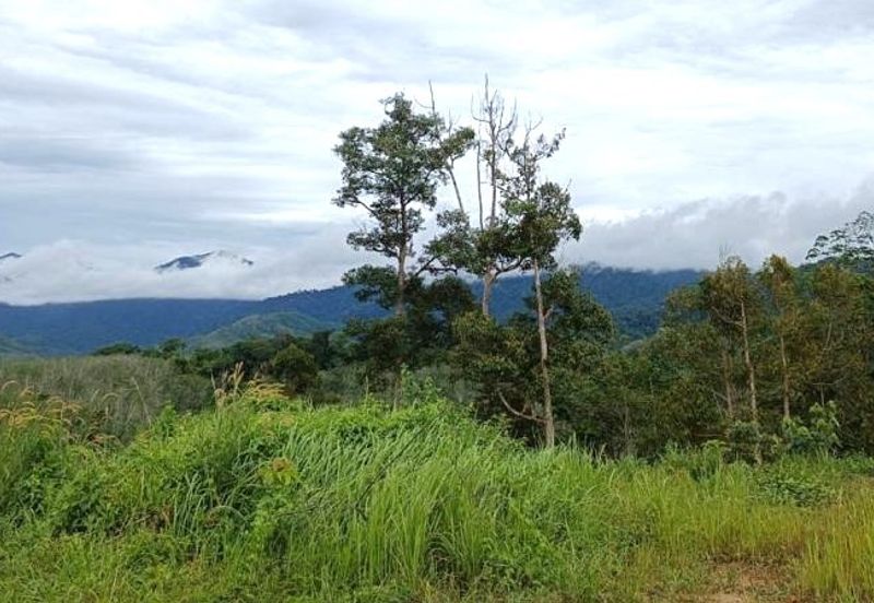 10 Acres FREEHOLD Empty Land, Titi, Jelebu, Negeri Sembilan (N9) for SALE