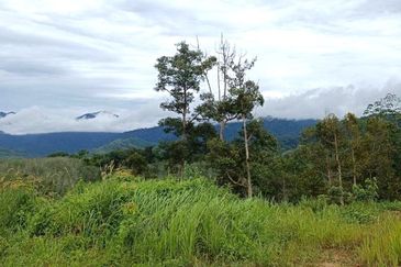 10 Acres FREEHOLD Empty Land, Titi, Jelebu, Negeri Sembilan (N9) for SALE