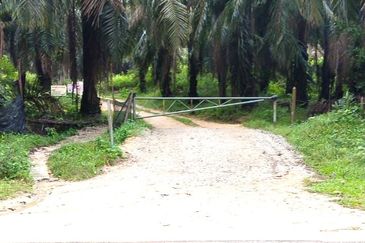 500 Acres FREEHOLD Palm Oil Plantation, Kuala Pilah, Negeri Sembilan N9 for SALE