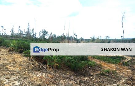 4,580 Acres Empty Land, Rompin, Pahang for SALE, Pahang, Rompin District