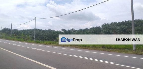 286 Acres FREEHOLD Palm Oil Plantation, Segamat, Johor for SALE, Johor, Segamat