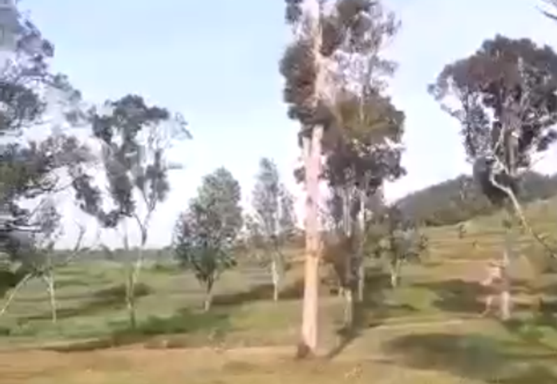 162.6 Acres Durian Orchard, Kerling, Kuala Kubu Bharu, Selangor For SALE