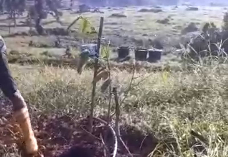 162.6 Acres Durian Orchard, Kerling, Kuala Kubu Bharu, Selangor For SALE