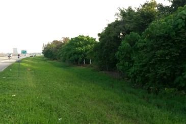 3.867 Acres Agriculture Land, Seberang Perai Tengah, Penang For SALE