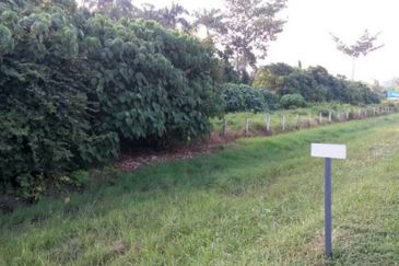 3.867 Acres Agriculture Land, Seberang Perai Tengah, Penang For SALE