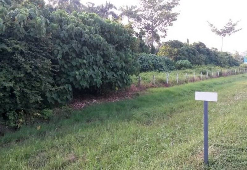 3.867 Acres Agriculture Land, Seberang Perai Tengah, Penang For SALE