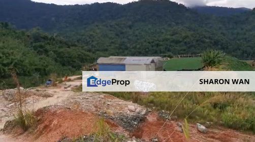 1,000++ Acres Empty Land, Lojing Highland, Kelantan for SALE, Kelantan, Gua Musang