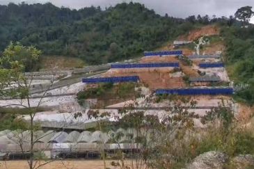 1,000++ Acres Empty Land, Lojing Highland, Kelantan for SALE