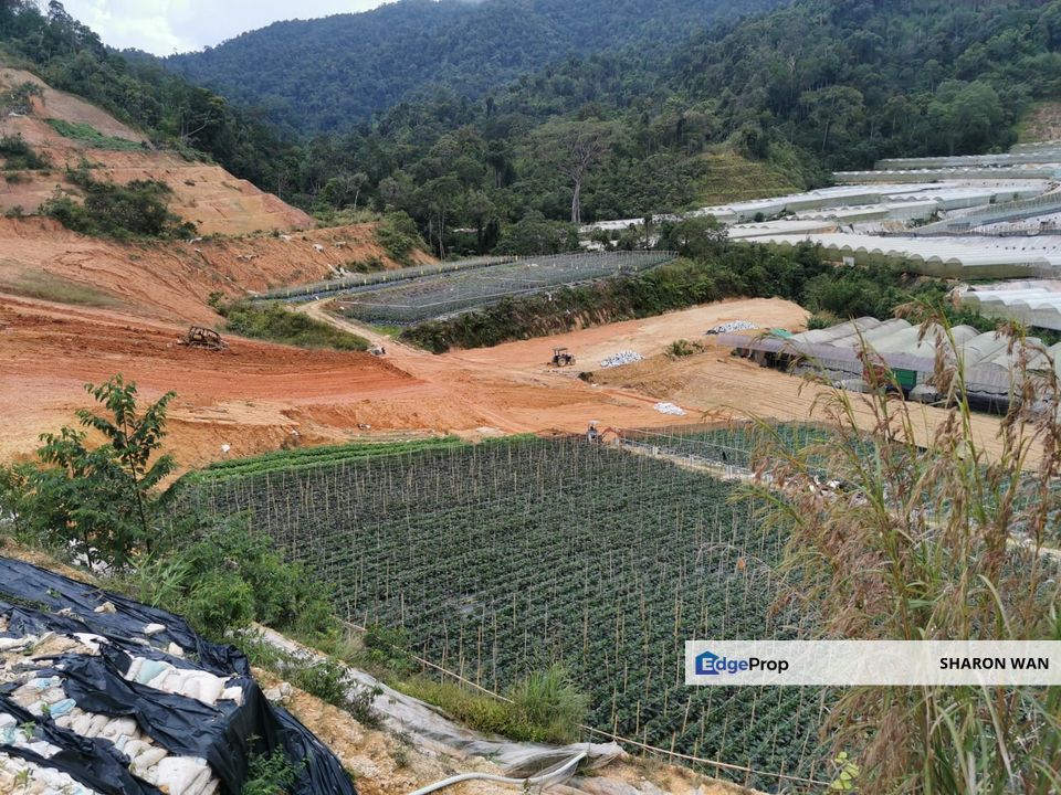 1,000++ Acres Empty Land, Lojing Highland, Kelantan for SALE, Kelantan, Gua Musang