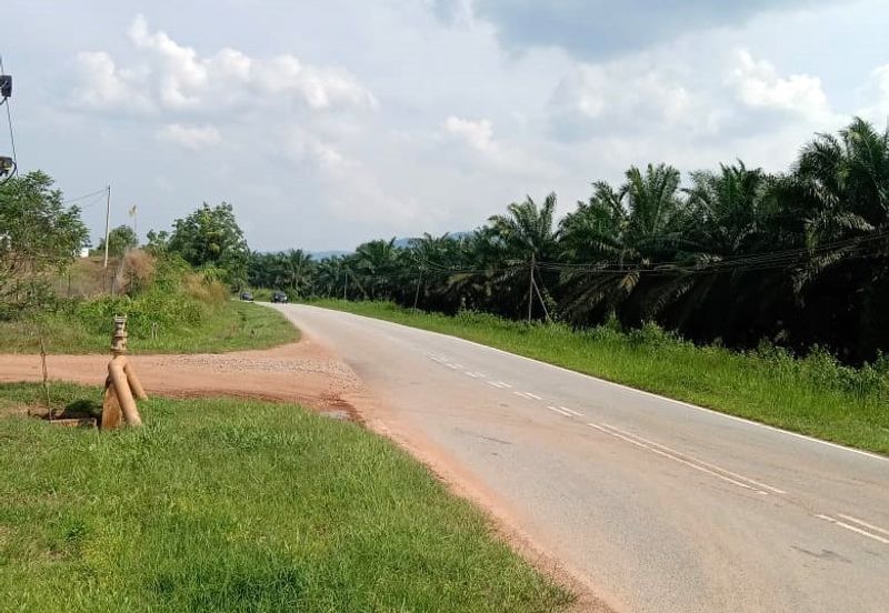 6.737 Acres FREEHOLD Durian Orchard, Simpang Pertang, Negeri Sembilan N9 for SALE