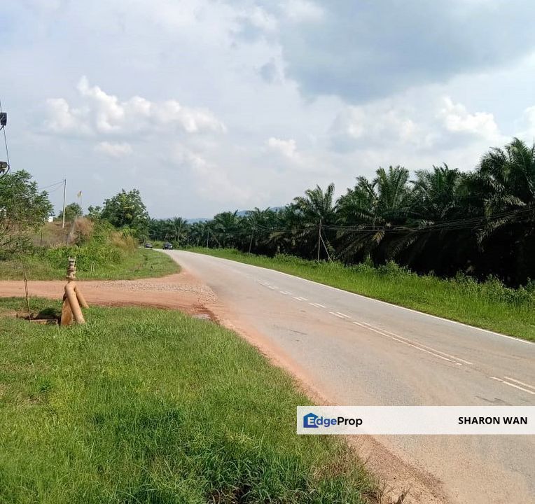 6.737 Acres FREEHOLD Durian Orchard, Simpang Pertang, Negeri Sembilan N9 for SALE, Negeri Sembilan, Simpang Pertang