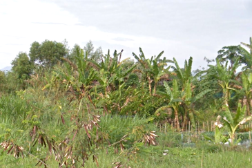 7.8 Acres Development Land, Tambun, Perak for SALE