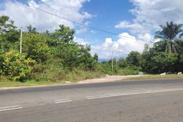 39.5 Acres FREEHOLD Development Land, Kulim, Kedah for SALE