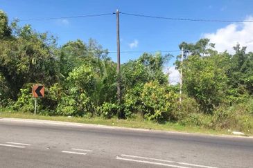 39.5 Acres FREEHOLD Development Land, Kulim, Kedah for SALE