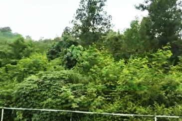 60 Acres Development Land, Kulim, Kedah For JV