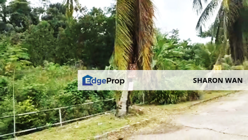 60 Acres Development Land, Kulim, Kedah For JV, Kedah, Kulim